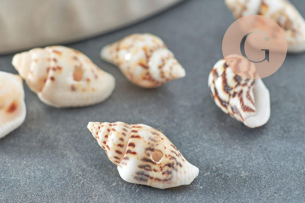 Pendentif coquillage naturel marron et blanc percé, x20 (G1981)