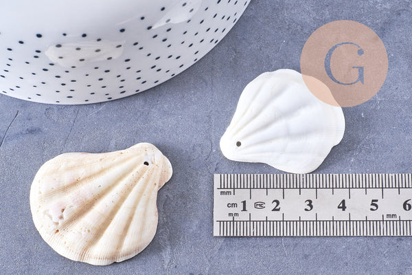 Pendentif coquillage naturel saint jacques 33-45mm, x5 (G2797)