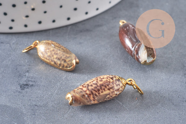 Pendentif coquillage naturel spirale doré, fourniture créative, doré, création bijoux, coquillage bijou,coquillage or,21-31mm G5131