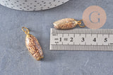 Pendentif coquillage naturel spirale doré, fourniture créative, doré, création bijoux, coquillage bijou,coquillage or,21-31mm G5131