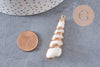 Pendentif coquillage naturel spirale doré, pendentif doré, création bijoux, coquillage bijou,coquillage or, 44-57mm-G5414