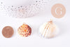 Pendentif coquillage naturel teinté cuivre doré 27-36mm, x1 (G10707)
