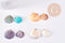Pendentif coquillage naturel teinté cuivre doré 27-36mm, x1 (G10707)