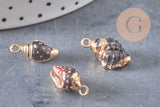 Pendentif coquillage noir spirale fer doré 16-20mm, x2 (G2675)