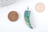 Pendentif dent nacre noire naturelle abalone laiton argenté 39-55mm, pendentif coquillage noir Ormeau, x1 (G8905)