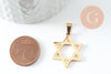 Pendentif étoile David acier 304 inoxydable doré 25mm, x1 (G9856)