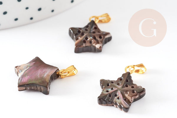 Pendentif étoile de mer noire nacre naturelle doré, coquillage noir, 18mm, x1 (G4366)