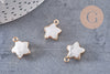 Pendentif étoile howlite blanche naturelle facettes fer doré 17mm, x1 (G3946)