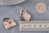 Pendentif éventail beige acétate, perle acétate,connecteur plastique, 21.5mm x5 (G0063)