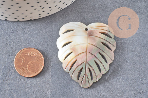Pendentif feuille nacre naturelle monstera 47-48mm, x1 (G2624)
