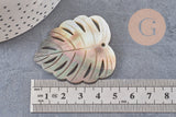 Pendentif feuille nacre naturelle monstera 47-48mm, x1 (G2624)