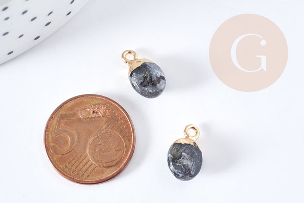 Pendentif goutte labradorite noire naturelle fer doré 14-15mm, x1 (G8697)