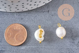 Pendentif perle naturelle Keshi Hippocampe doré 13-16mm,porte bonheur,perle eau douce,création bijou,perle naturelle blanche, x1 (G6091)