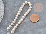 Perle Ronde eau douce naturelle blanc 6~8mm, perle de culture , fil de 17cm, x1 (G9149)