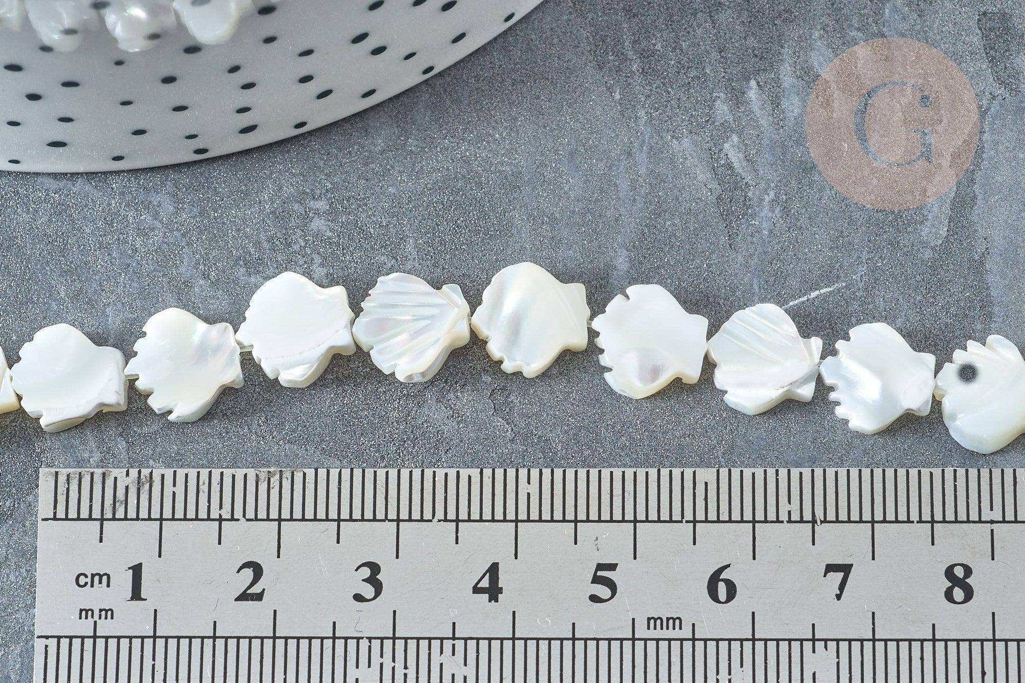 Perle Saint-Jacques nacre blanche naturelle 9,5~10mm, coquillage naturel, fil de 42cm, x1 (G7839)