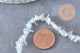 Perle chips aigue-marine naturelle 12mm, x1 fil de 80cm (G1324)