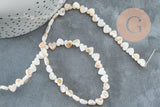 Perle coeur nacre blanche naturelle 6mm ,perle coeur nacre,coquillage blanc, fil de 39cm, x1 (G5862)