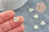 Perle coquillage verre tchèque transparent irisé 10.5mm, x10 (G4374)