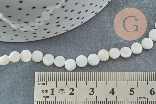 Perle disque nacre coquillage blanc naturel 6mm, x1 fil de 39cm (G5580)