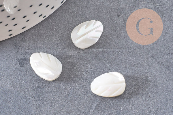 Perle feuille nacre blanche naturelle 9 ou 14mm, x10 (G5850)