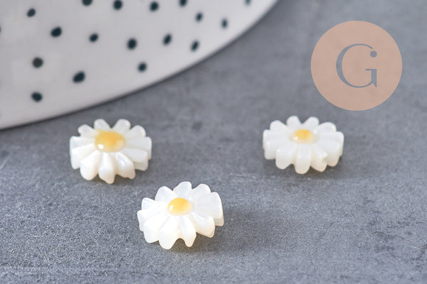 Perle fleur marguerite nacre naturelle, perle fleur,nacre naturelle,coquillage blanc,création bijoux,10mm, x1 G4218