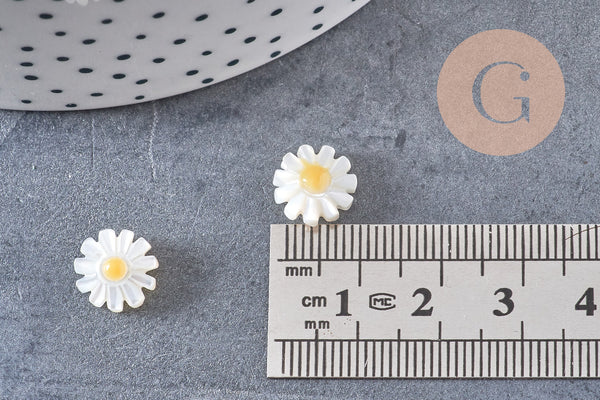 Perle fleur marguerite nacre naturelle, perle fleur,nacre naturelle,coquillage blanc,création bijoux,10mm, x1 G4218