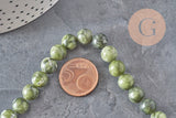 Perle jade vert olive ronde naturelle 8mm, x1 fil de 38cm (G11341)-Perles-Gingerlily Perles