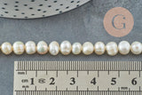 Perle naturelle blanche grade A 6-7mm, x1 fil 36cm (G0549)
