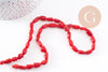 Perle ovale corail rouge, perles corail, corail rouge, corail naturel, fil 40cm,9-13mm, x1 (G0670)