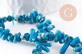 Perles branche en corail naturel bleu teinté 3-12mm,perle coquillage, x1 fil 38cm (G0992)