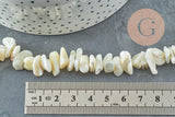 Perles chips coquillage nacre naturelle beige 8-14mm, x1 fil 90cm (G5742)