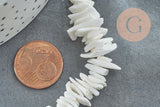 Perles chips coquillage naturel 6~12mm, x1 fil de 41cm (G3867)