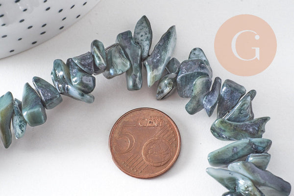 Perles chips de coquillage noir, coquillage naturel, 75 perles, fil de 40 cm, x1 (G1052)