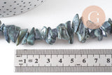 Perles chips de coquillage noir, coquillage naturel, 75 perles, fil de 40 cm, x1 (G1052)