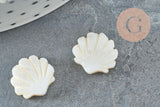 Perles coquillage nacre blanche naturelle 12mm, x2 (G3653)