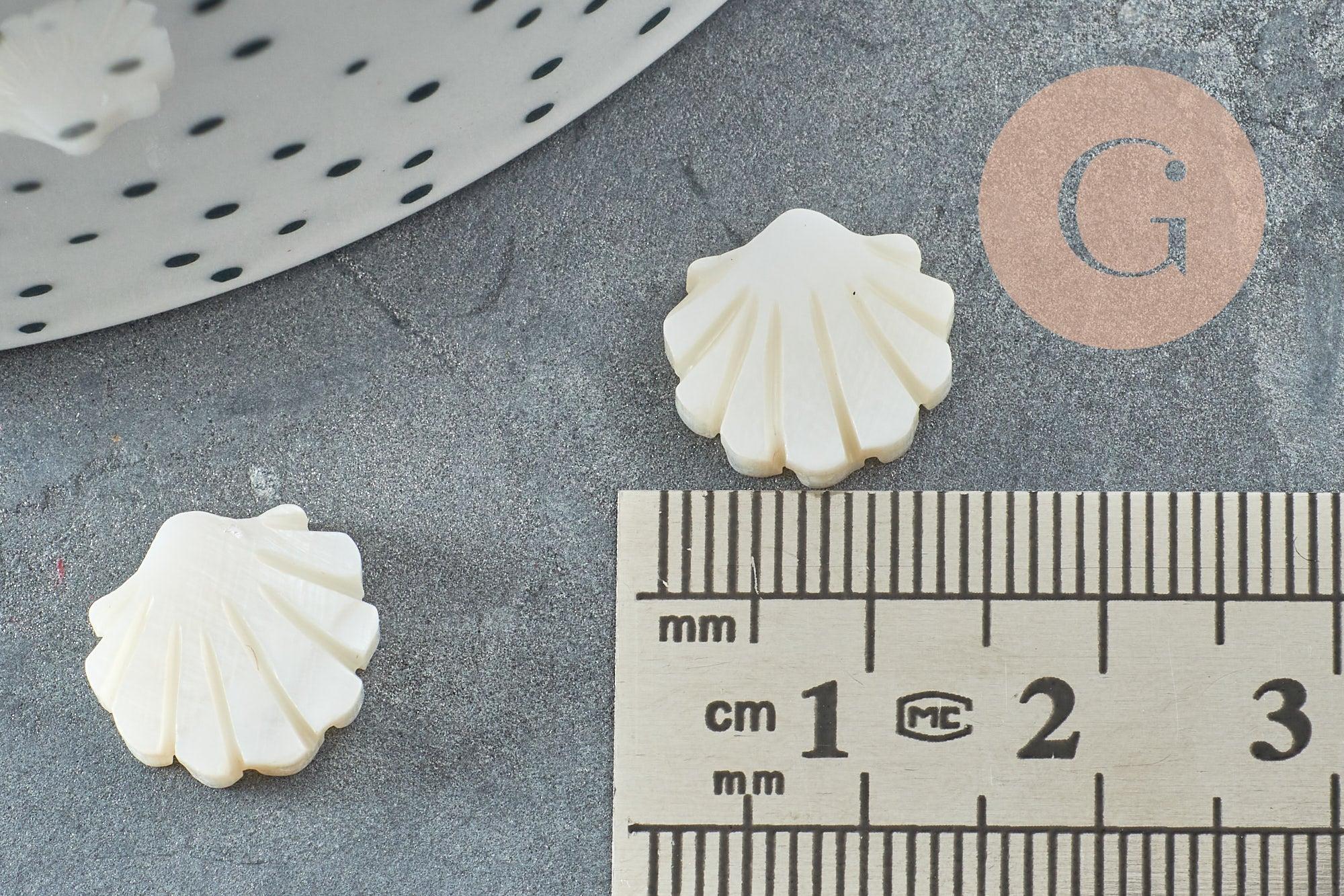 Perles coquillage nacre blanche naturelle 12mm, x2 (G3653)