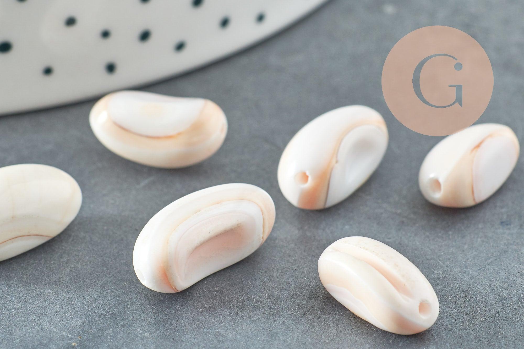 Perles coquillage naturel bisque beige 13-18mm, x10 (G0649)