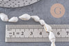 Perles coquillage naturel percés blanc, x1 fil de 135cm (G7987)