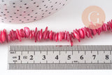 Perles coquillage naturel rose 8-28mm, x1 fil de 75cm (G1029)