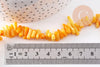 Perles en corail jaune safran, corail naturel, coquillage jaune,4-18mm, fil de 42cm, x1 (G4588)