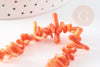Perles en corail orange, corail naturel, perle coquillage orange, fil de 38cm, x1 (G6747)