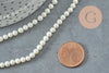 Perles rondes coquillage naturel blanche nacrées 4mm, x1 fil de 40cm (G10132)
