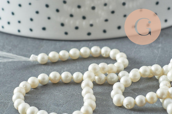 Perles rondes coquillage naturel blanche nacrées 4mm, x1 fil de 40cm (G10132)