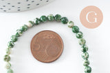 Perles jaspe vert naturel, jaspe bleuté, pierre naturelle, jaspe naturel, 4mm, fil de 38cm, x1 (G4071)