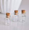 Petite bouteille en verre bouchon Liège 20mm, x2 (G0173)