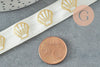 Ruban élastique écru or coquilage EFJF, x1 ou x5 ou x10 mètres (G1674)