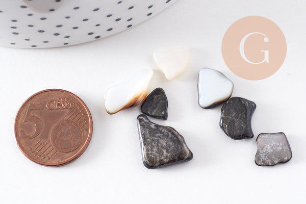 Sable chips coquillage nacre noire naturelle 7.5~18.5mm non percé, x20gr (G3499)