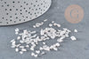 Sable pierre Chips quartz rose naturel 2~8mm, x20gr (G9552)
