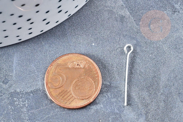 Tiges tête boucle fer argenté 24mm, x10gr (G8299)