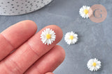 Cabochon fleur marguerite en résine 13mm,x5 (G8051)